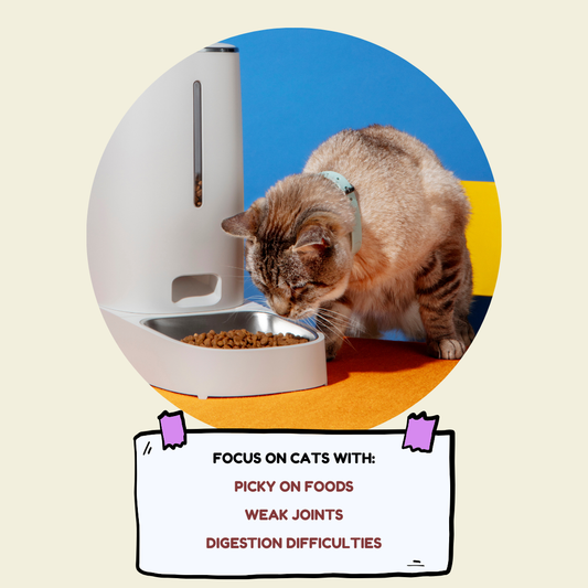 Proud - Holistic Cat Food (Fussy Cat)