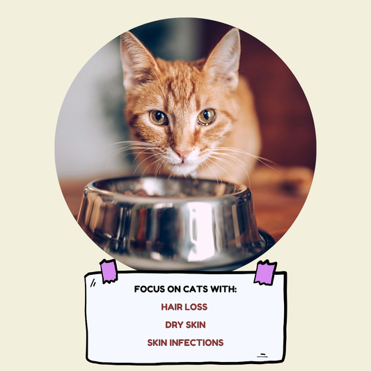 Proud - Holistic Cat Food (Skin & Fur)