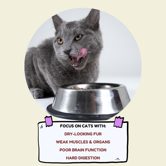Proud - Super Premium Cat Food (Chicken)