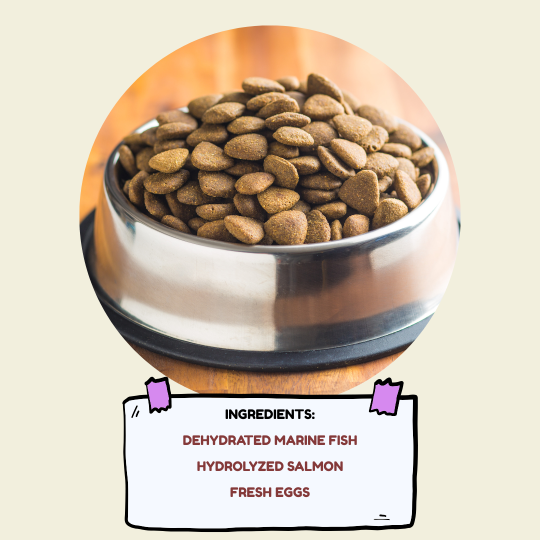 Proud - Holistic Cat Food (Skin & Fur)
